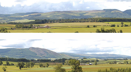 Hill and Dales 10ft Premium Backscene IDP206B/95307