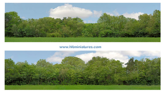 Just Trees 10ft Premium Self-Adhesive Backscene (Cat. P149A/95130)