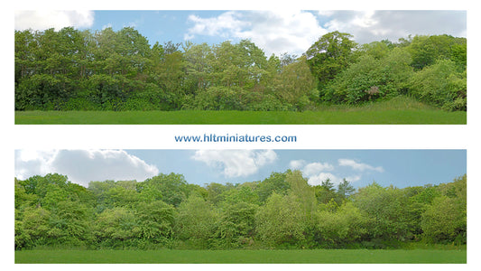 Just Trees 10ft Premium Self-Adhesive Backscene (Cat. P149B/95131)