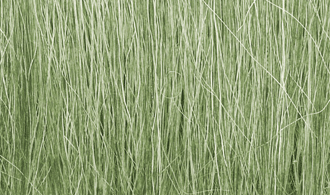Light Green Field Grass by Woodland Scenics WFG173