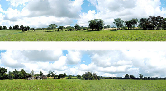 Into the Town 10ft Premium Backscene ID106D/95303