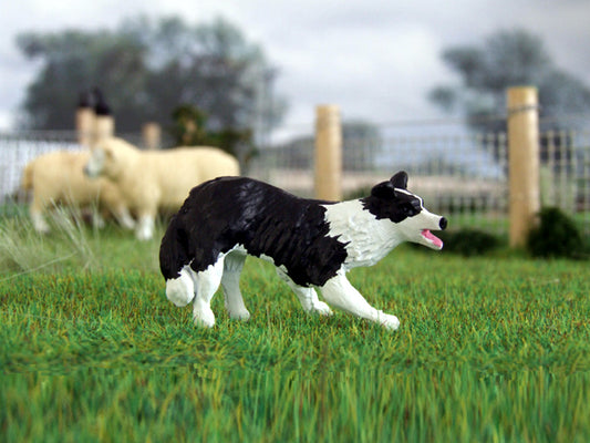 WMA14 Border Collie Dog Lucy by HLT Miniatures