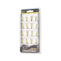 20 x Brown Tipped Prairie Grass fs779