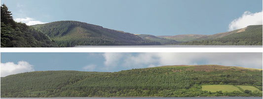 Forest Hills 10ft Backscene Self-adhesive ID201A 95339