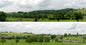 Village Country 10ft Premium Backscene IDP203A/95322