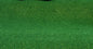 Flat Cut Lush Green Field Grass Mat MAT 12L Javis