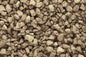 Medium Rock Debris/Stones/Talus Hardcore WC1275