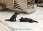 Black Labrador Gun Dogs (2) 1:32 Scale by HLT Miniatures FAB19
