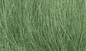 Medium Green Field Grass by Woodland Scenics WFG174