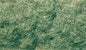 3mm Medium Green Flock Static Silage Grass by Woodland Scenics 50cu in shaker WFL635