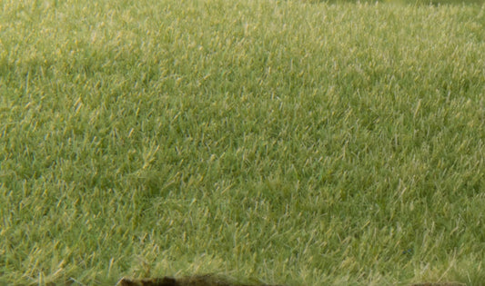 2mm, 4mm, 7mm, 12mm Static Grass/Flock Grass Blends Medium Green by Woodland Scenics