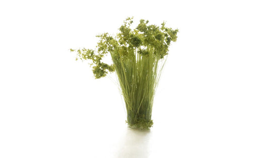 20 x Medium Green Prairie Grass Tufts by Woodland Scenics (Cat no. FS777)