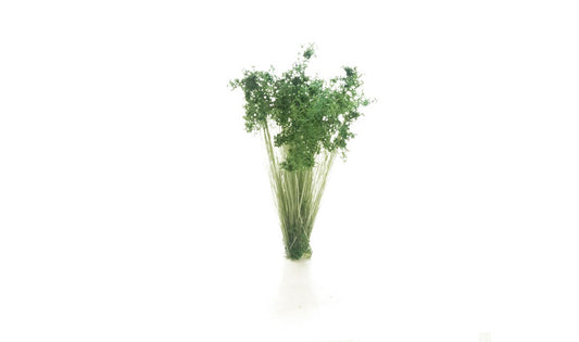 20 x Dark Green Prairie Grass Tufts by Woodland Scenics (Cat no. FS778)