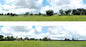 Into the Town 10ft Premium Backscene ID106D/95303
