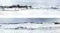 Winter Hills Snow 10ft Premium Backscene ID402 /95352