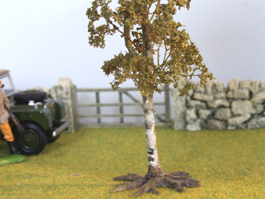 S09D 16cms Autumn Birch Tree 'Any scale' by JG Miniatures
