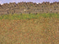 WT1350 Earth, Plough,Soil Blend Fine by Woodland Scenics 64.6cu in Shaker
